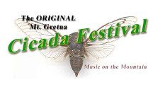 The Original Mt. Gretna Cicada Festival